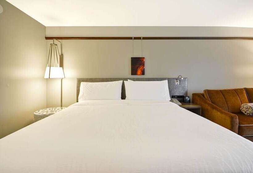Номер Deluxe, Hilton Garden Inn Austin/round Rock