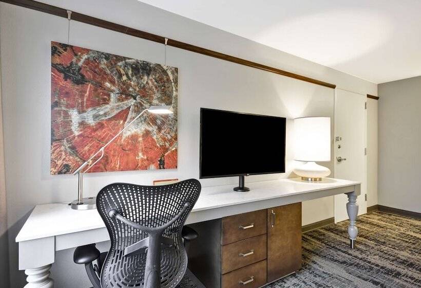 Номер Deluxe, Hilton Garden Inn Austin/round Rock