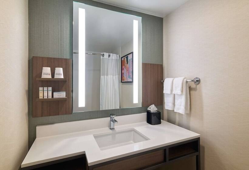 Camera Standard, Hilton Garden Inn Bloomington
