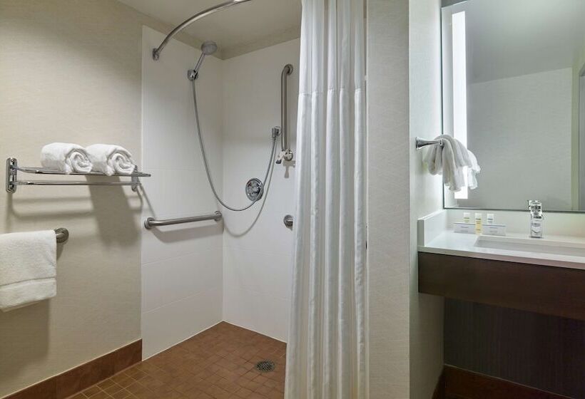 Camera Standard Accessibile ai Disabili, Hilton Garden Inn Bloomington