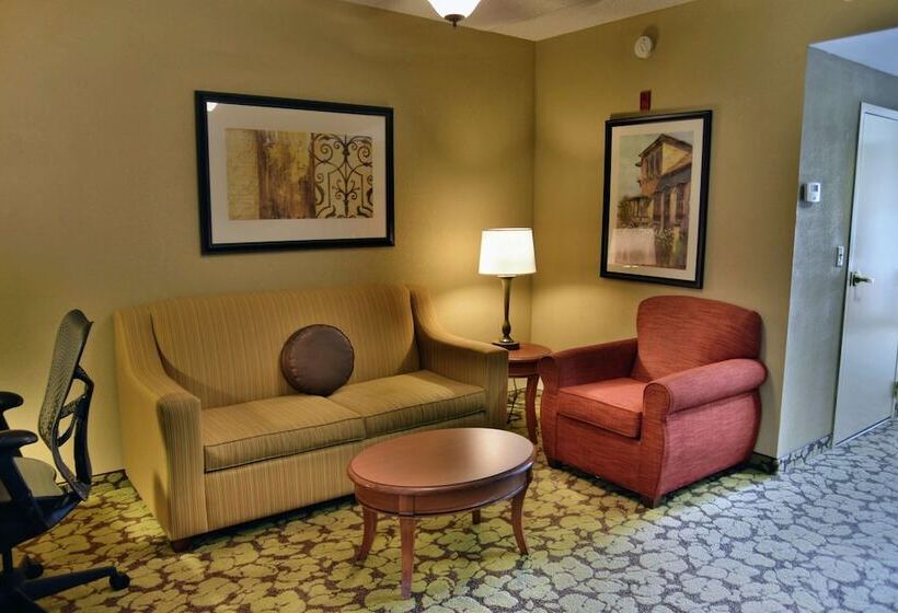 Номер Стандарт, Hilton Garden Inn Hattiesburg