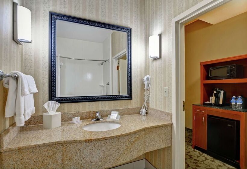 Номер Стандарт, Hilton Garden Inn Hattiesburg