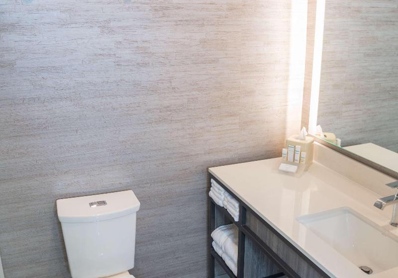 스탠다드 룸 킹사이즈 침대, Hilton Garden Inn Los Angeles Montebello