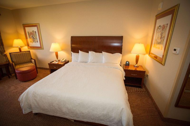 주니어 스위트 킹사이즈 침대, Hilton Garden Inn Los Angeles Montebello