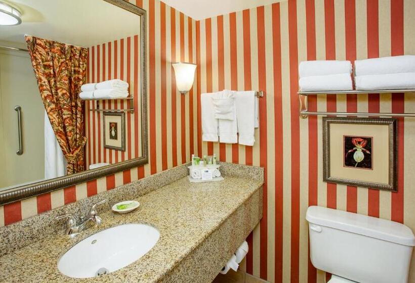 Suite, Holiday Inn Express & Suites Bloomington, An Ihg