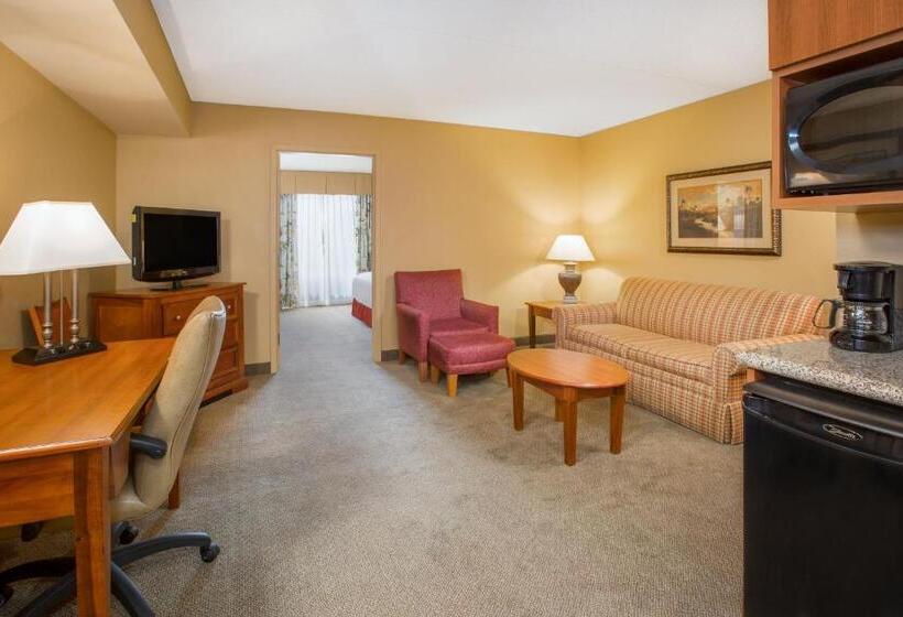 Suite Cama King, Holiday Inn Express & Suites Bloomington, An Ihg