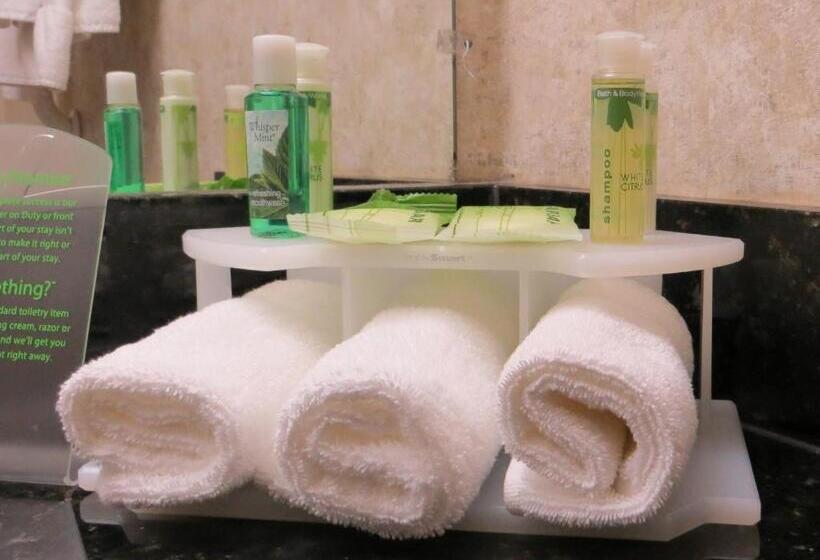 Quarto Standard Cama King para Deficientes, Holiday Inn Express & Suites Bloomington, An Ihg