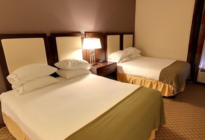 스위트, Holiday Inn Express Hotel & Suites Blythewood, An Ihg