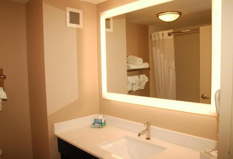 Люкс, Holiday Inn Express Birmingham Irondale East, An Ihg