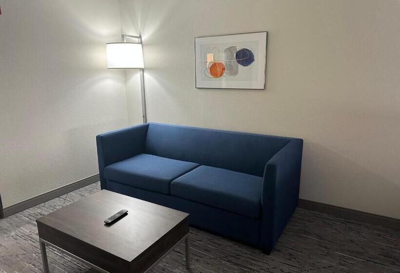 Люкс Кровать Кинг, Holiday Inn Express Birmingham Irondale East, An Ihg