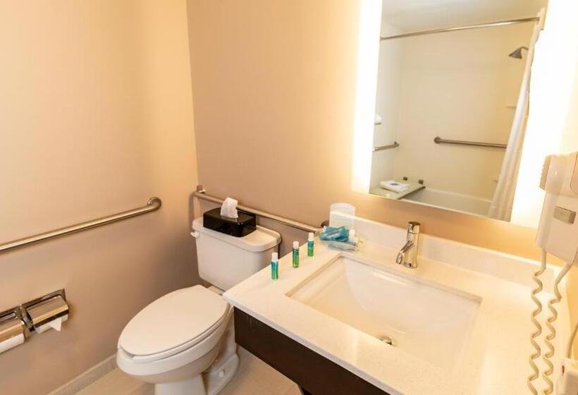 Люкс Адаптированный для Инвалидов, Holiday Inn Express Birmingham Irondale East, An Ihg