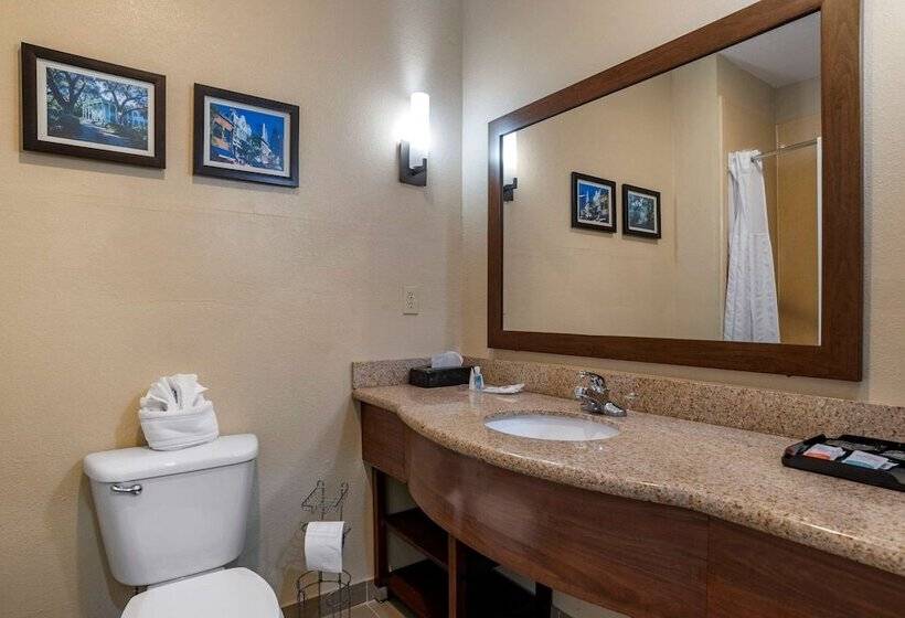 스위트, Comfort Suites Mobile West Tillmans Corner