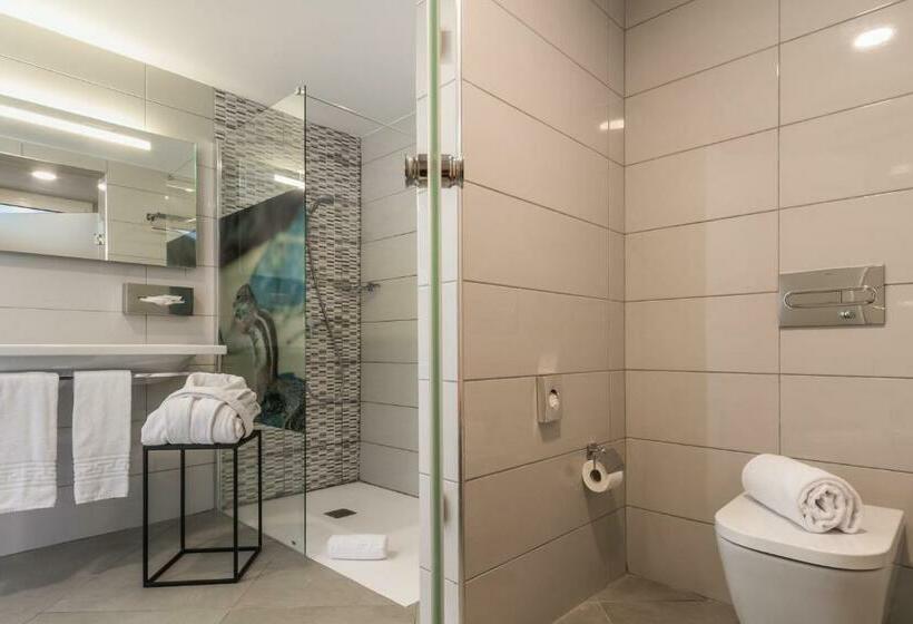 StandaardKamer, Aparthotel Esquinzo y Monte del Mar