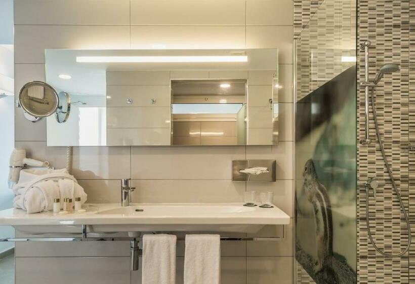 Номер Стандарт, Aparthotel Esquinzo y Monte del Mar