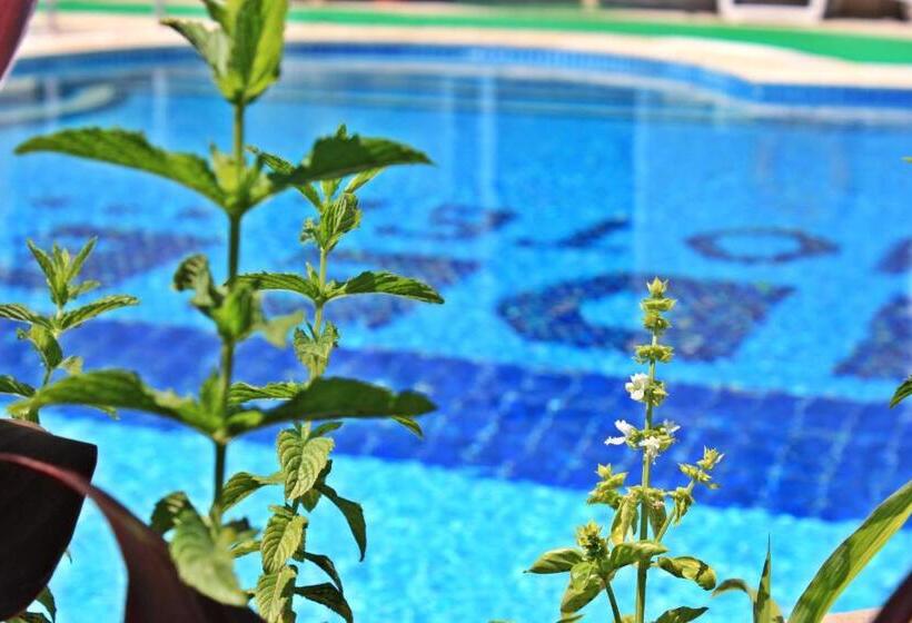 풀장 전망 스위트, Idee Sui̇tes Fethiye