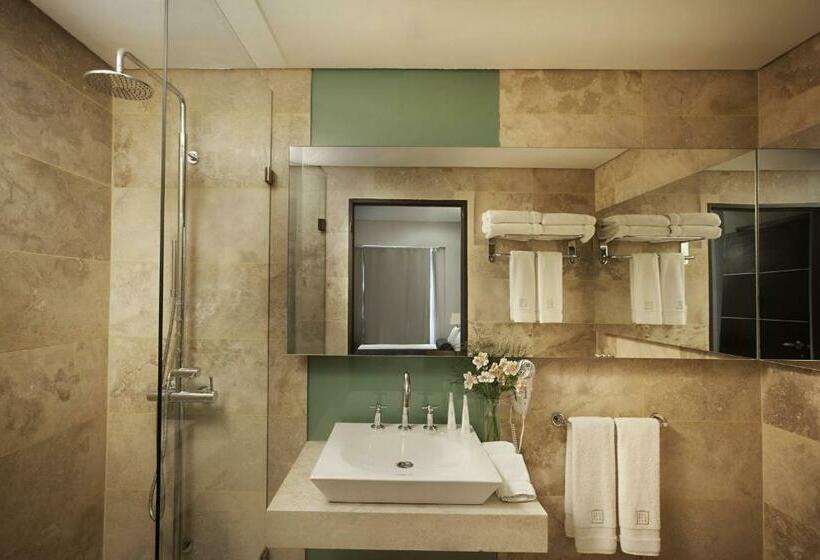 غرفة تنفيذية, Mod Hotels Mendoza
