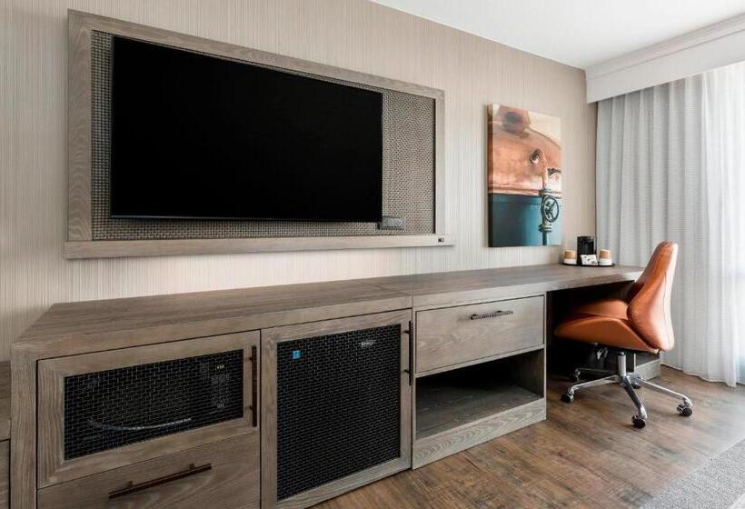 Chambre Standard Lit King Size Adaptée aux Personnes à Mobilité Réduite, Courtyard Austin Downtown/convention Center