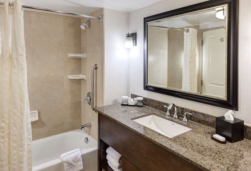Люкс Вид на Горы, Embassy Suites Anchorage