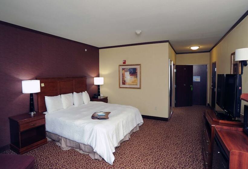 Номер Стандарт, Hampton Inn Seguin