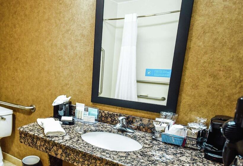 适合残疾人使用的标准间, Hampton Inn And Suites Pine Bluff