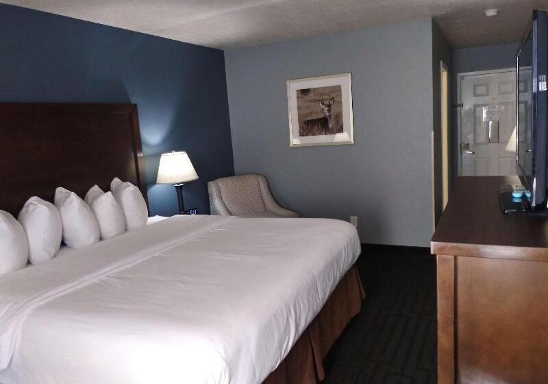 带大床的标准工作室, Hampton Inn And Suites Pine Bluff