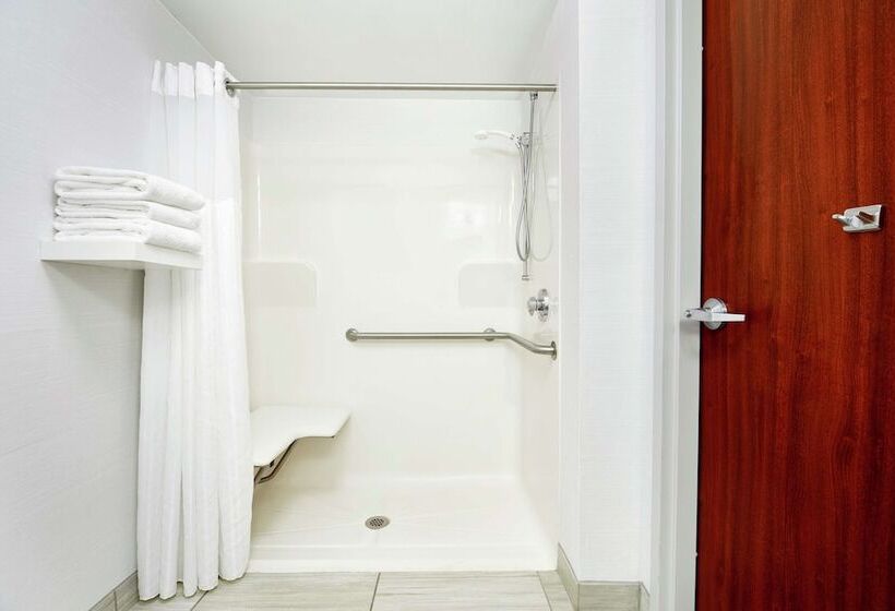 장애인을 위한 스탠다드 룸, Hilton Garden Inn Columbus/polaris