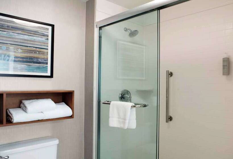 Люкс Адаптированный для Инвалидов, Homewood Suites By Hilton St. Louis  Galleria