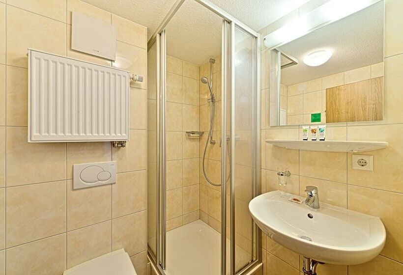 Номер Economy, Sapia Hotel St. Fridolin