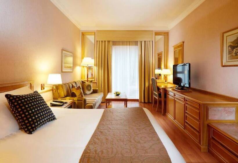 小型套房, Millennium Plaza Downtown Suites