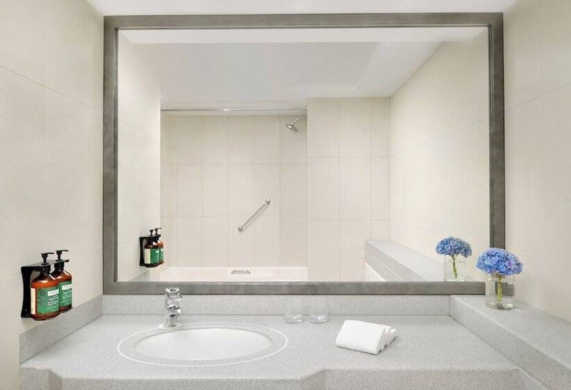 家庭套房, Millennium Plaza Downtown Suites