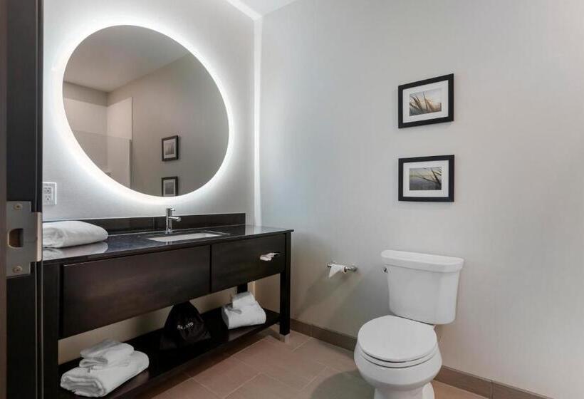 Стандартный Номер Кровать Кинг, Comfort Inn & Suites Adrian