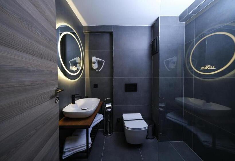 Номер Стандарт с Балконом, Luxon Hotel Sakarya