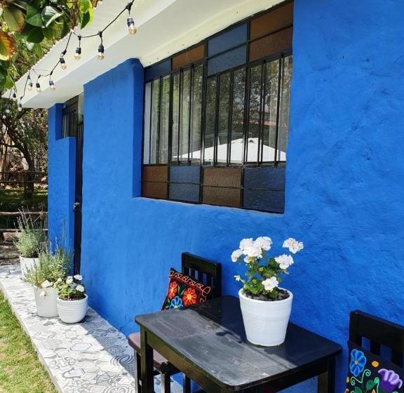 带大床的标准间, The First Real Bed & Breakfast Hiking Hotel  The Office  In Arequipa, Peru