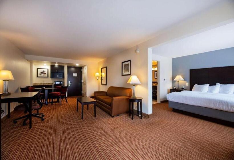 Люкс Deluxe Кровать Кинг, Wingate By Wyndham State Arena Raleigh/cary