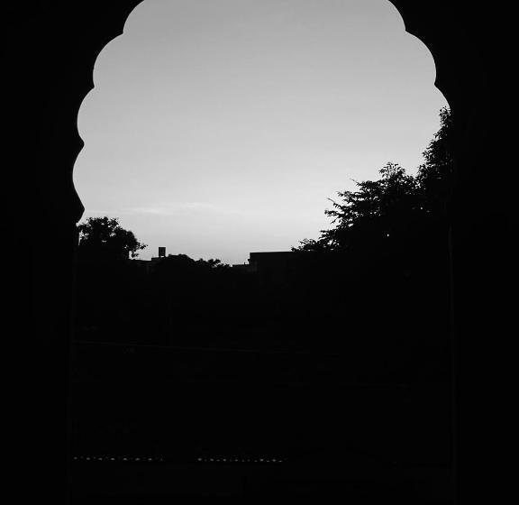 Quarto Estandar, Blue King