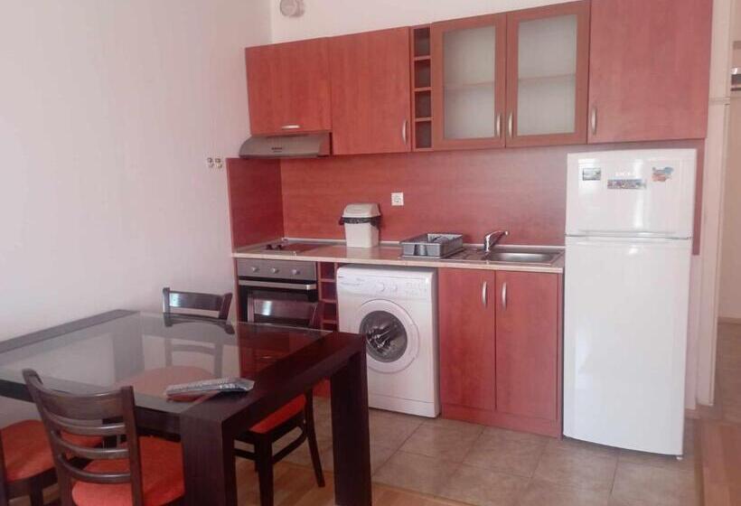 استودیوی استاندارد, Guest House Kami
