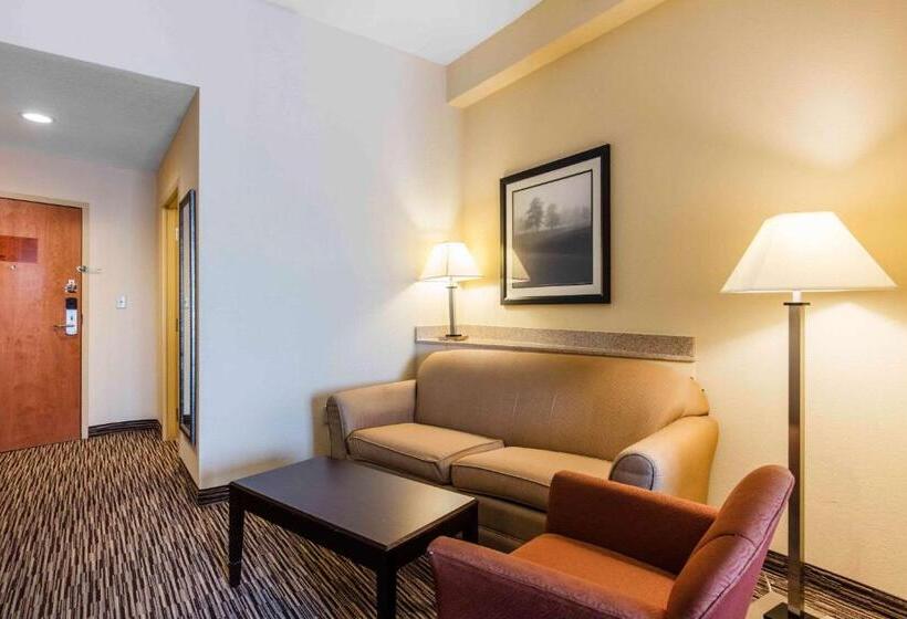 标准间, Comfort Suites
