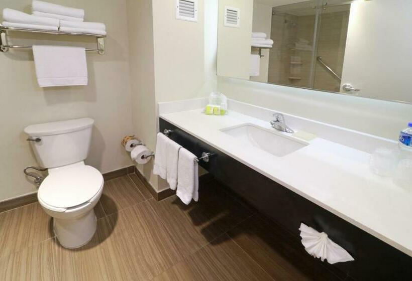 Номер Стандарт, Holiday Inn Tampico Altamira, An Ihg