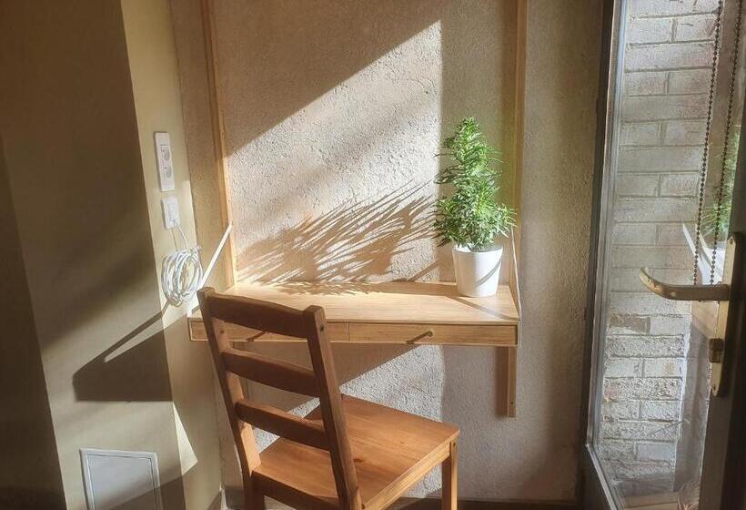 基本间, Graine De Rêves