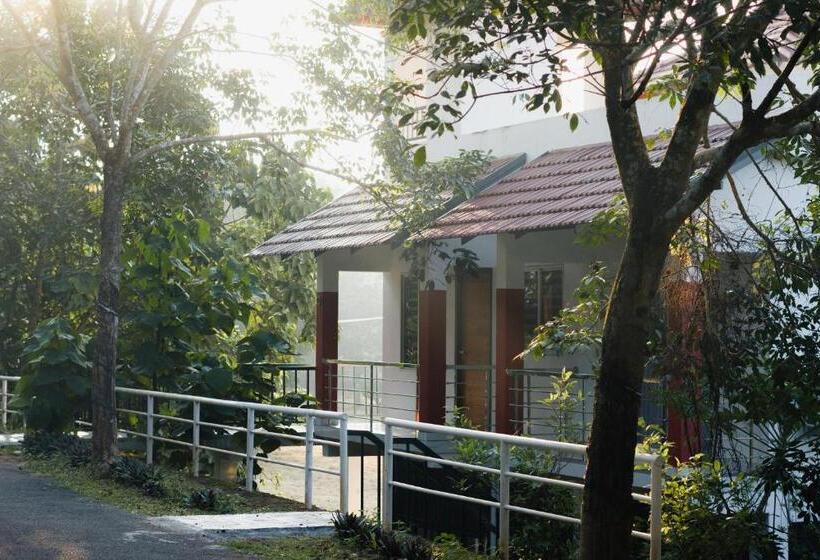 Люкс Повышенной Комфортности, Rockdale Resort