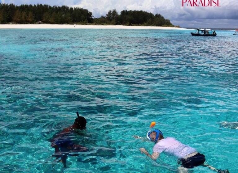 标准房带园景, Mambo Paradise
