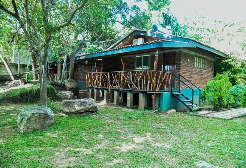 اتاق خانوادگی, Birds Paradise Inn
