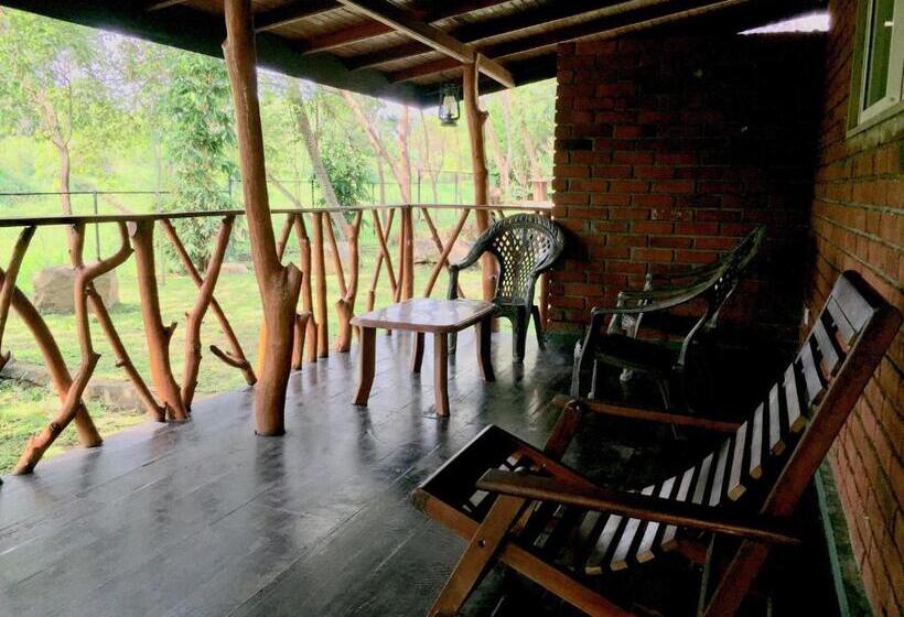 اتاق خانوادگی, Birds Paradise Inn