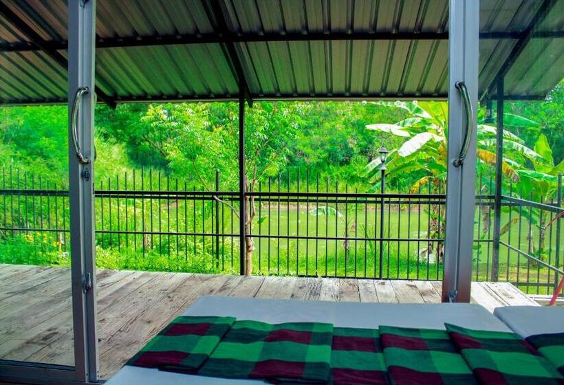 اتاق استاندارد با چشم‌انداز دریاچه, Birds Paradise Inn