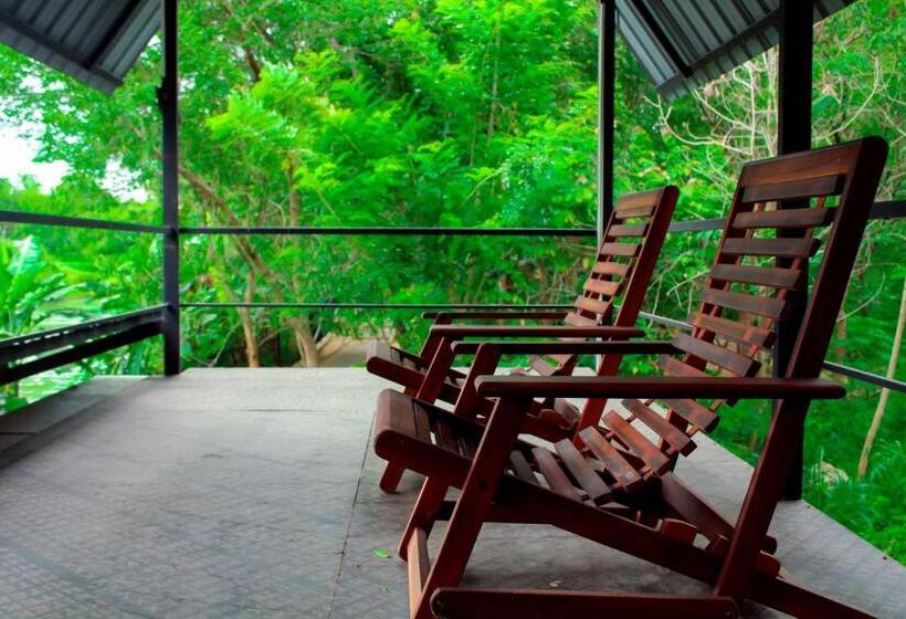 اتاق لوکس, Birds Paradise Inn