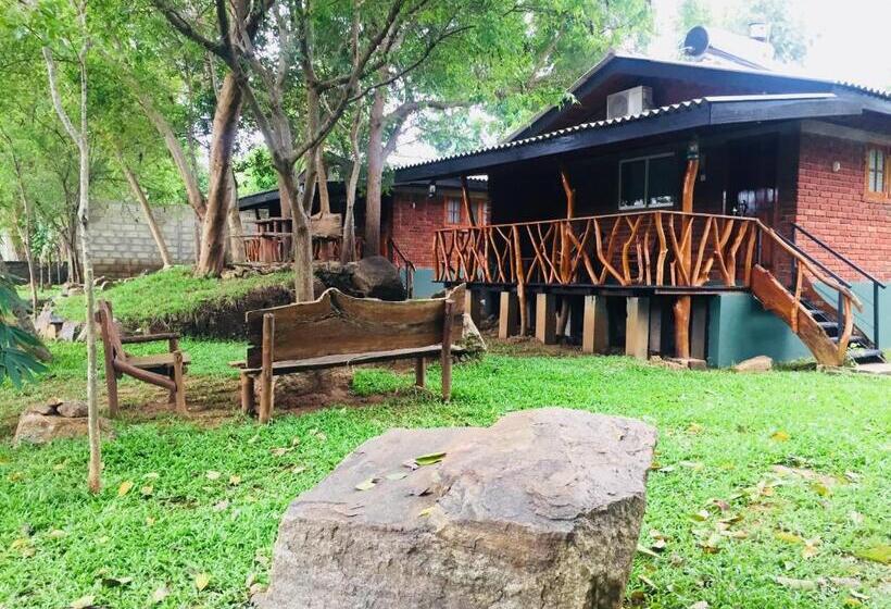 اتاق لوکس خانوادگی, Birds Paradise Inn