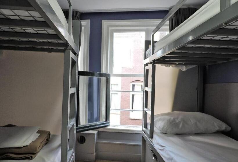 공동 객실, The White Tulip Hostel
