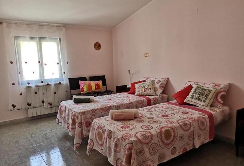 Номер Стандарт, Elido B&b