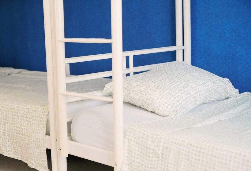 تختخواب در اتاق مشترک, Cádiz Inn Hostel