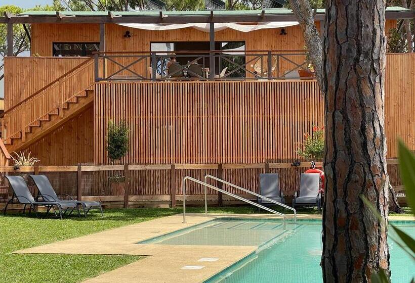 ویلای 1 خوابه, Nuevos Apartamentos Biopasivos Living Pura Madera